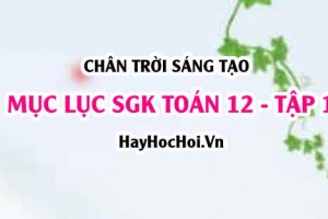 Mục lục SGK Toán 12 tập 1 Chân trời sáng tạo - Lý thuyết và bài tập Toán 12 tập 1 Chân trời sáng tạo